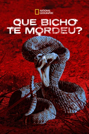 Que Bicho te Mordeu?